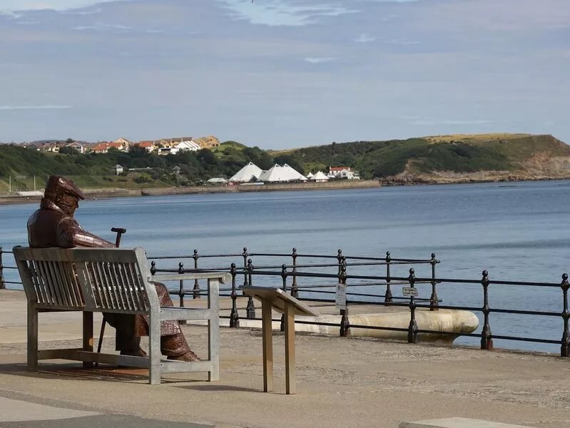 SANDERLING, pet friendly, country holiday cottage in Scarborough