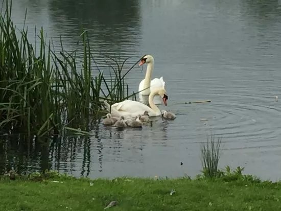 Wyboston Lakes Golf Club