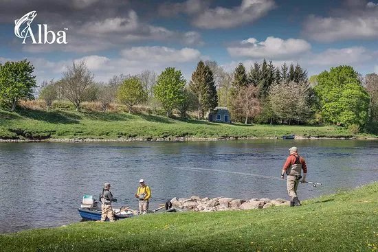 Alba Game Fishing