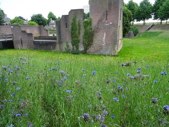 Kasteel Heusden