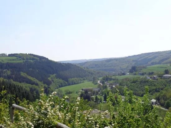 Chateau-Fort de Dasburg
