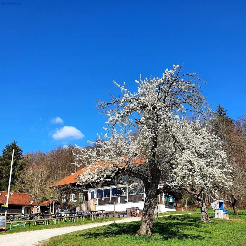 Schatzbergalm