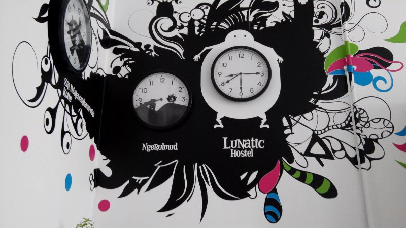 Lunatic Hostel