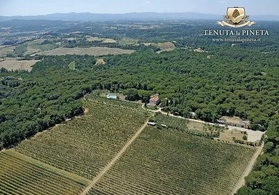 Cantina Tenuta La Pineta