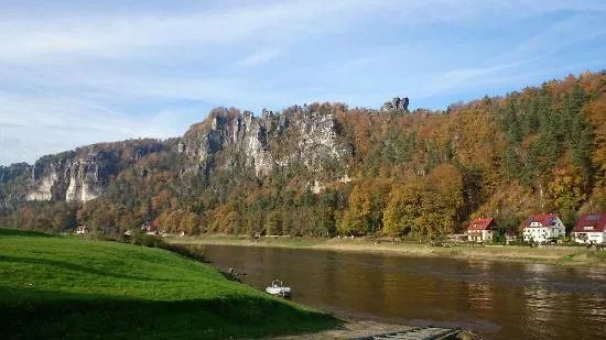 Felsenbuhne