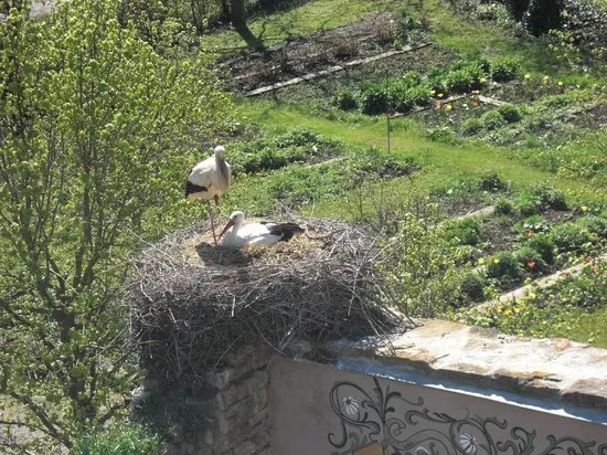 Parc Attractions Haut Rhin