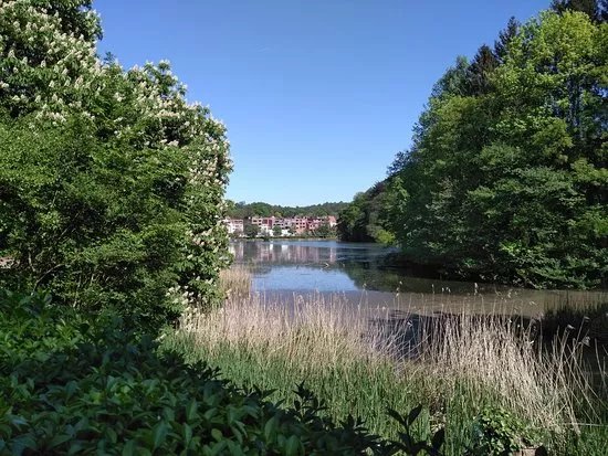 Parc Tournay Solvay