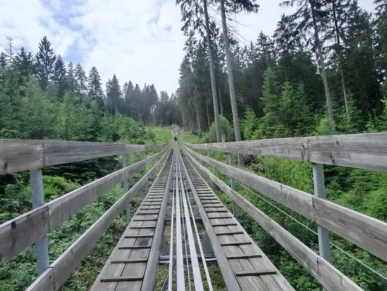 Sommerrodelbahn