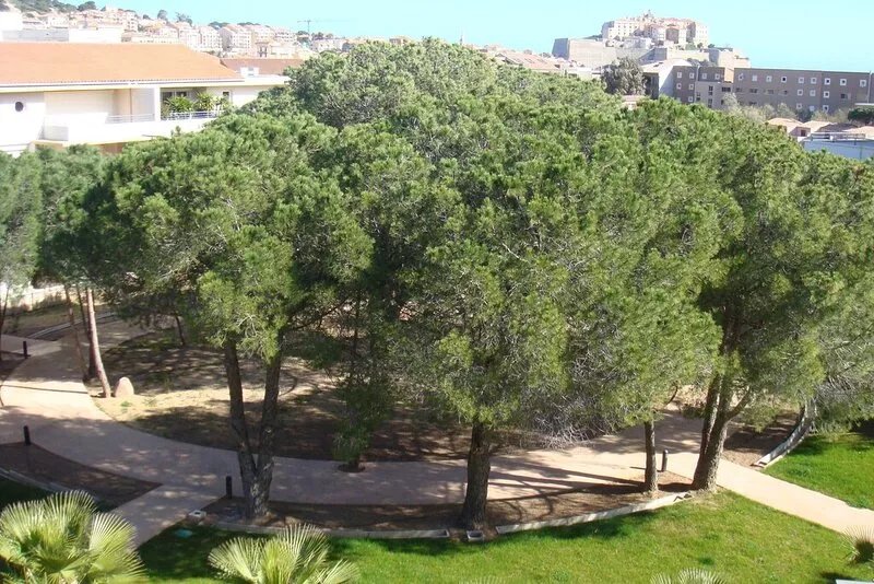 Spacious 2 bedroom apartment with large terrace overlooking a park with swimmin