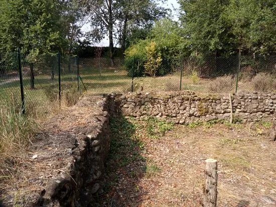 Parco A.D.A. - Postumia Necropoli Albere Spiana Verona
