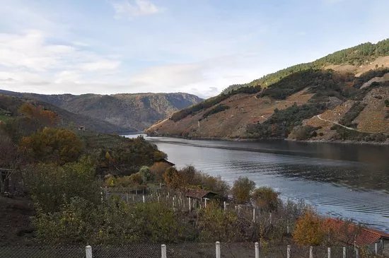 Bodega Ronsel Do Sil