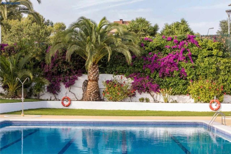 Holacamp Sitges Fun