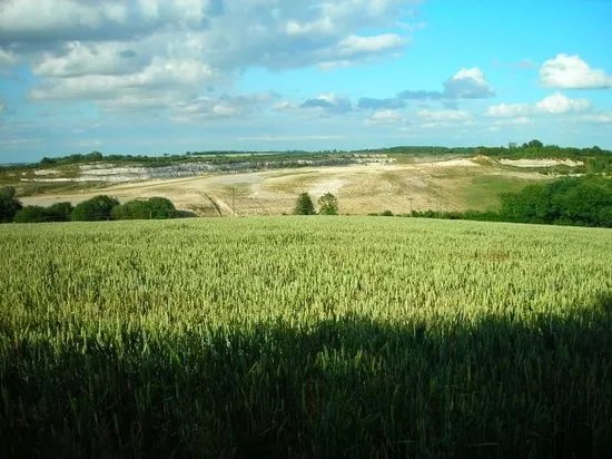 Wicken Fen National Nature Reserve