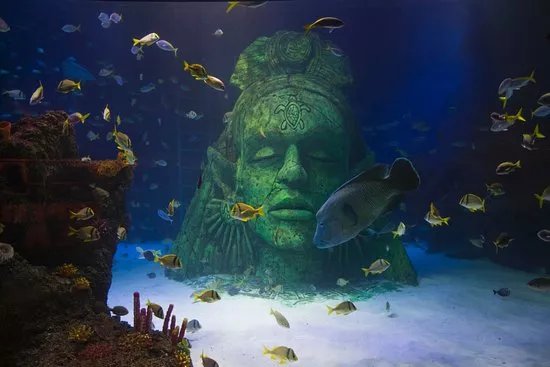 Sea Life Manchester