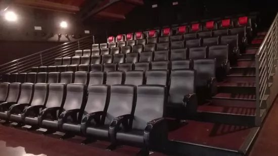 The Space Cinema