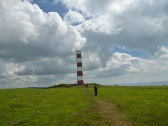 Gribbin Head
