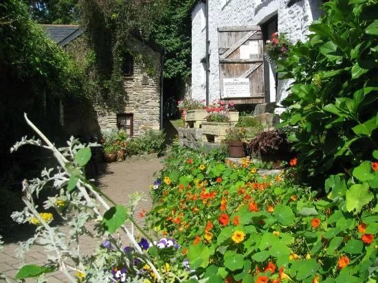 Hele Corn Mill & Tea Room