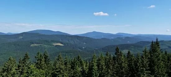 Rozhledna Sukenicka