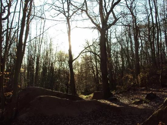 RSPB Reserve Blean Woods