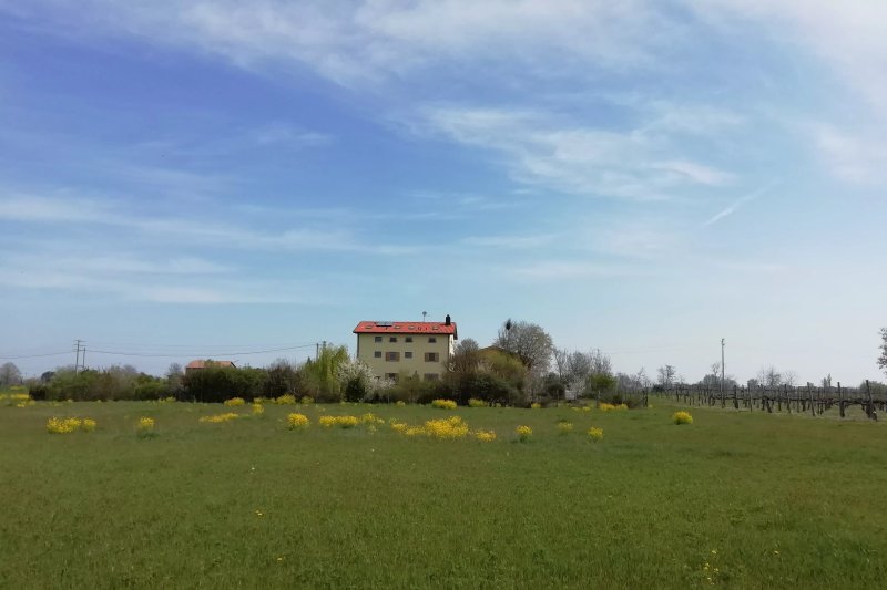 B&b Ca' Dal Frol