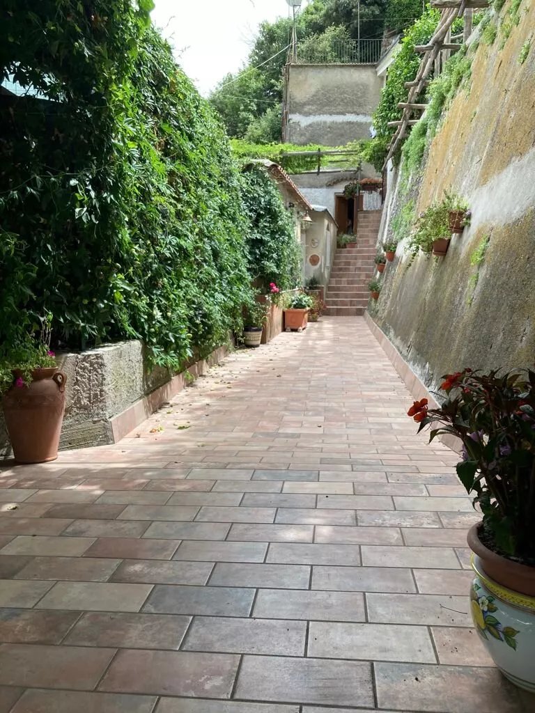 Il Limoneto di Teresa Amalfi Coast