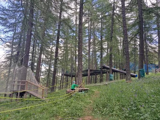 Games In Forest
