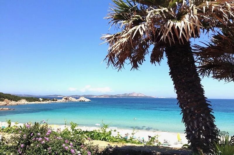 Small Cozy House with garden in Costa Smeralda