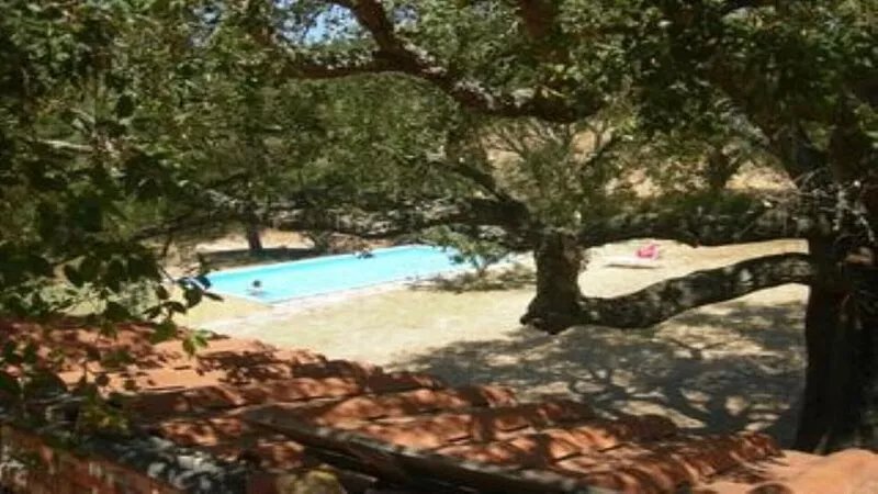Apartment Farmhouse between Siena and the Sea relax swimming pool WiFi 1 room