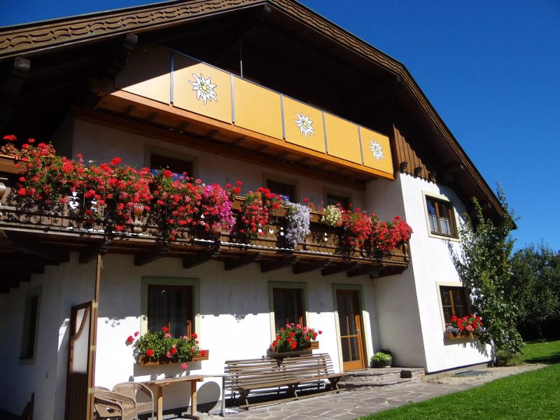 Apartment Edelweiss