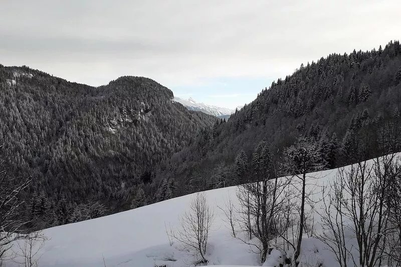 Luxury chalet for 12/14 guests, stunningly located above the village of Les Get