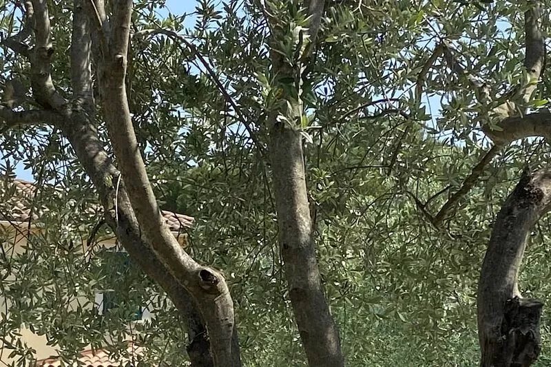 Magnificient and modern house.  Nestled in the heart of Provence. 4 star rating.