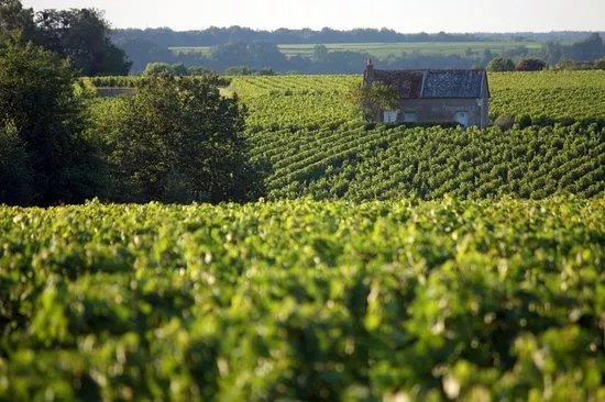 Domaine de La Croix Melier