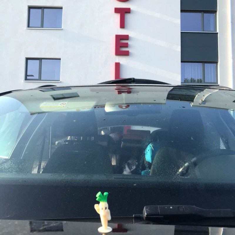 Hotel Steigerwald Sud