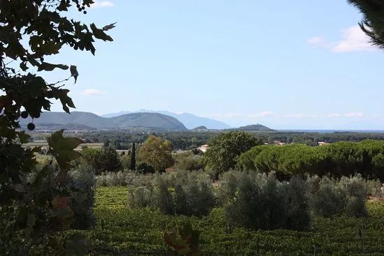 Azienda Agricola Giomi Zannoni