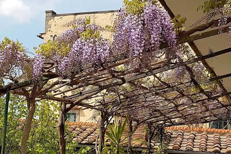 Apartment with terrace the ideal place to stay in Cortona