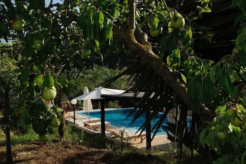 Villa with private pool in large private land near Segesta Temple