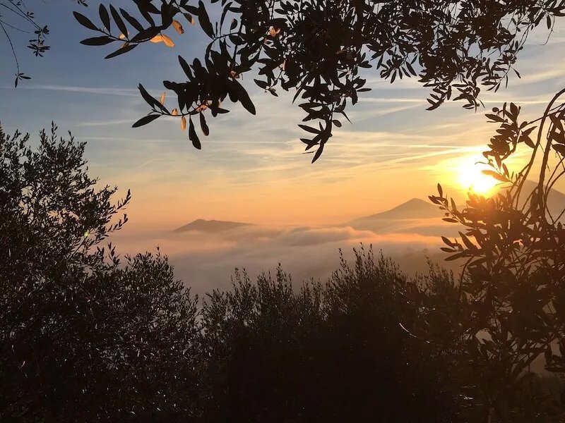 Villa surrounded by nature near Padua and Venice, breathtaking views, animals
