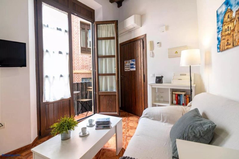 The Heart Of Malaga Apartments