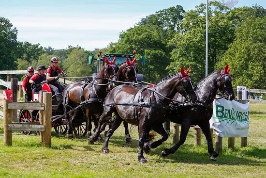 Sandringham Festival Of Carriage Driving 2025
