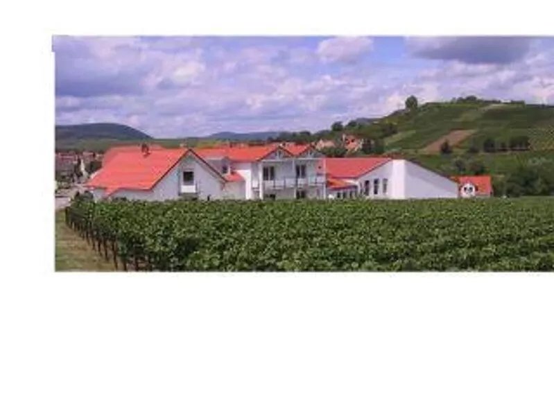 2-bed apartment "2a" - Weingut-Gästehaus Hans Dieter Bosch