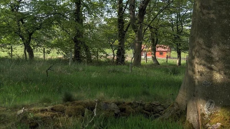 Family Friendly Log Cabin