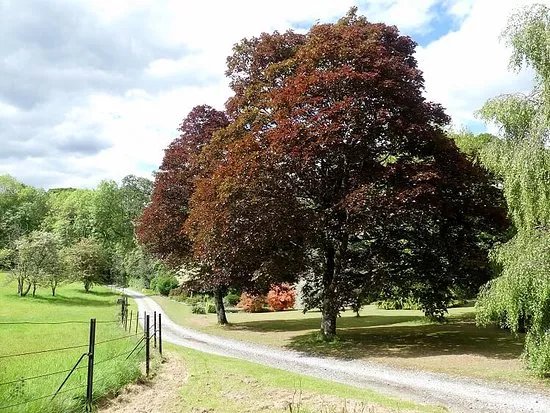 Woodville House and Gardens