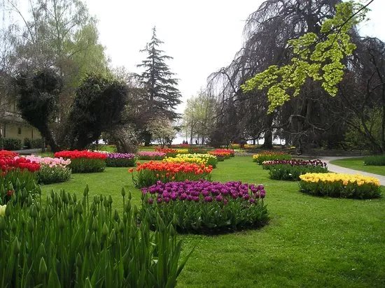 Conservatoire et Jardin botaniques de Geneve