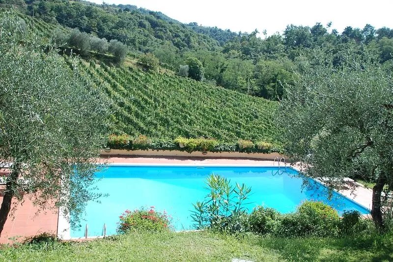 Villa La Falterona 15 km. from Florence