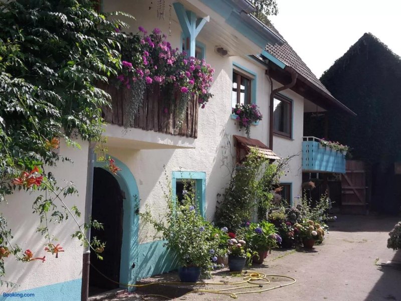 Rosenhof Broggingen