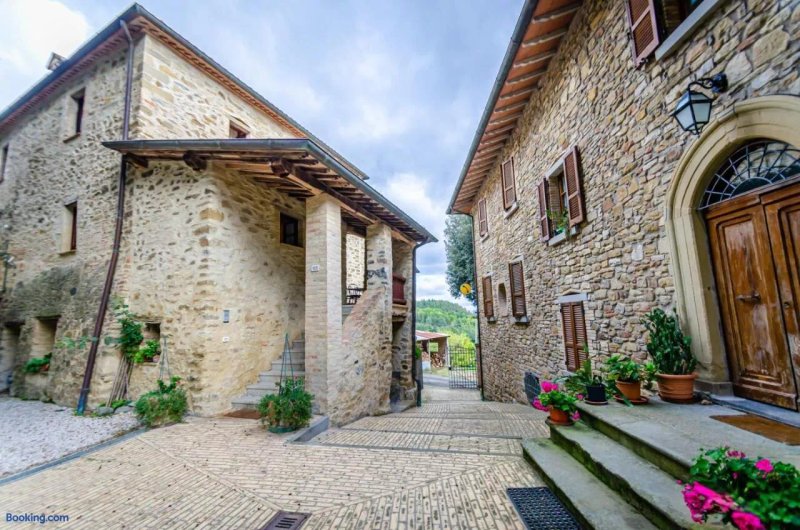 Agriturismo La Fattoria