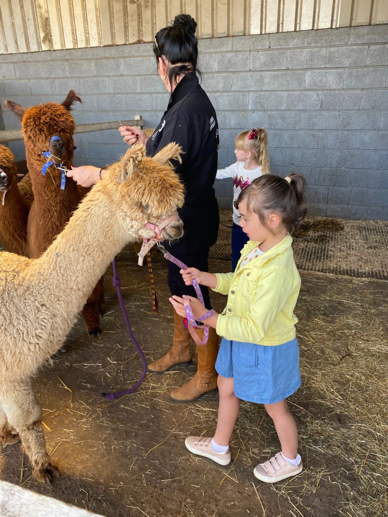 Bawtry Alpacas