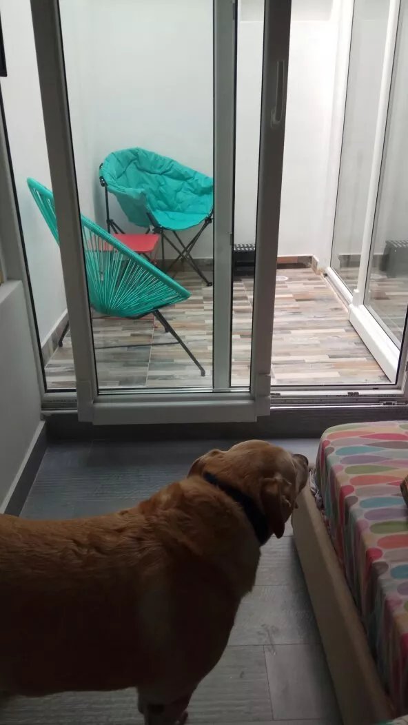 Apartmentos La Palma