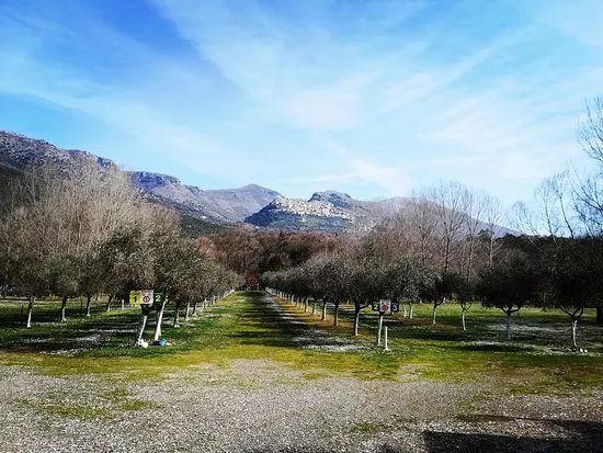 Pugliese Agricamping Pic Nic Area