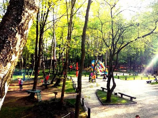 Park Przygody Nowa Makumba